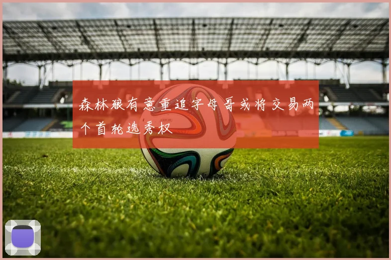 森林狼有意重追字母哥或将交易两个首轮选秀权